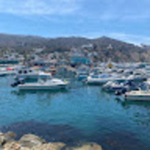 Meet your Posher, Frances